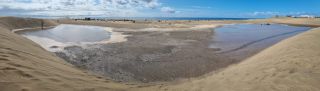 GC-Playa de Maspalomas 2026-154.jpg